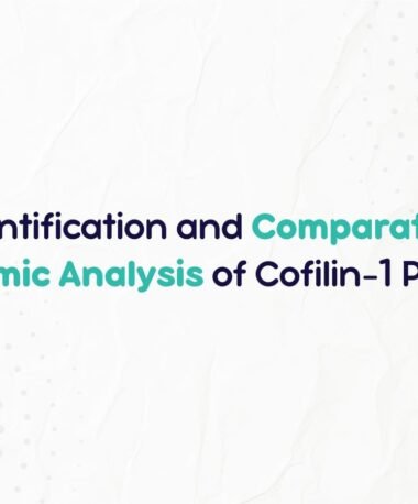 Identification of Cofilin-1 Protein